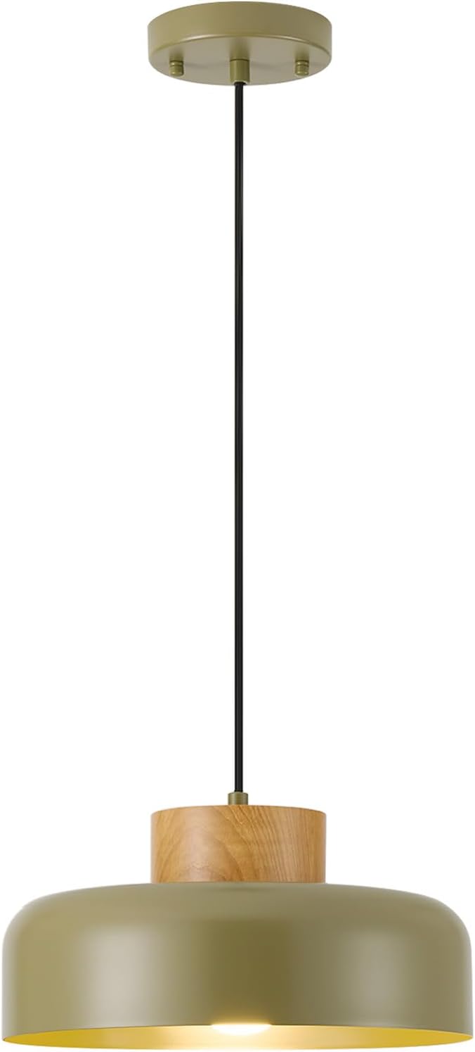 Natural Wood Green Adjustable Pendant Light